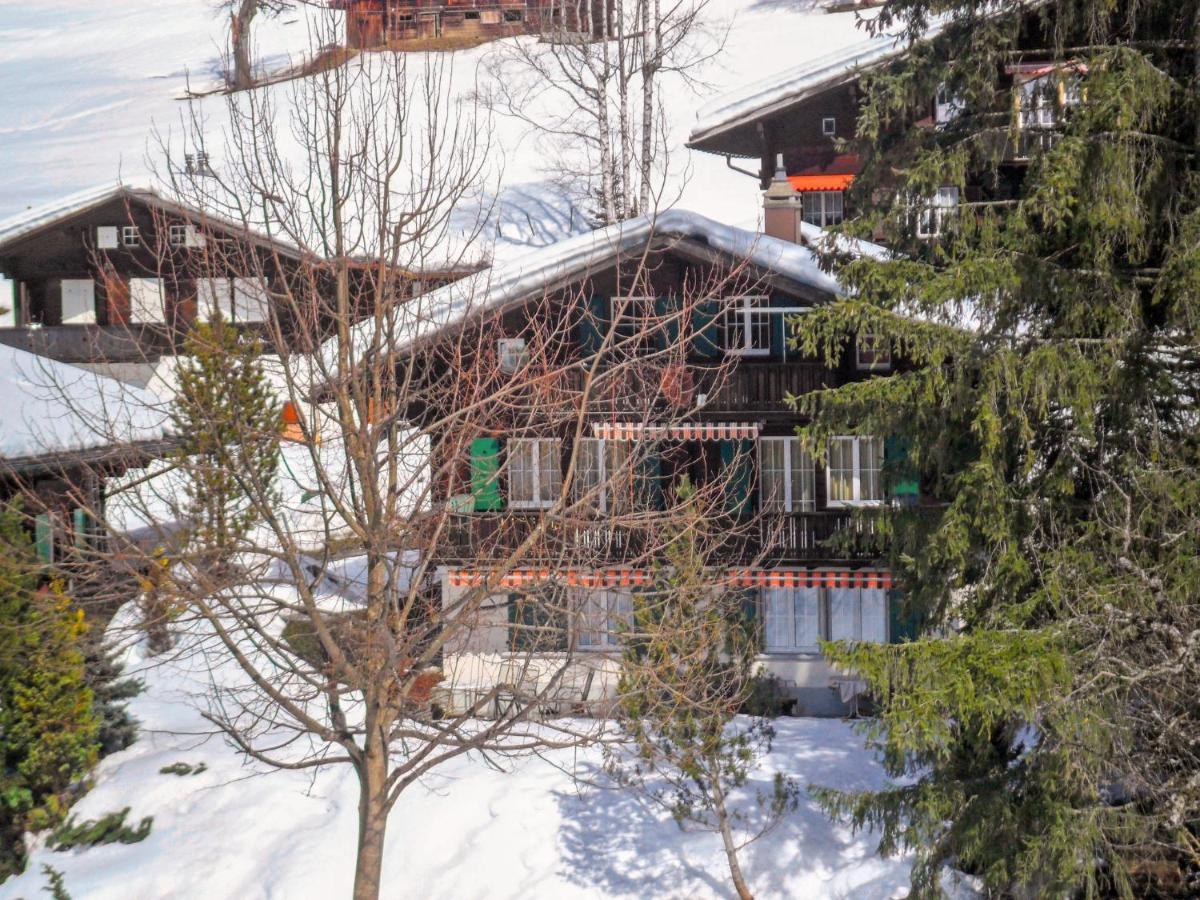 Apartment Chalet Spassvogel By Interhome Grindelwald Luaran gambar