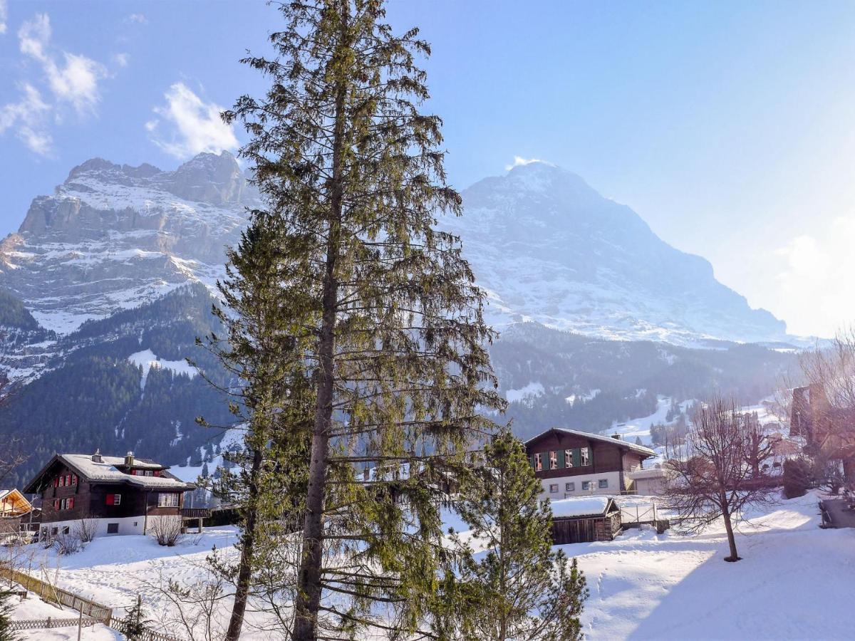 Apartment Chalet Spassvogel By Interhome Grindelwald Luaran gambar